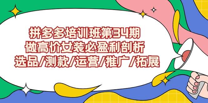 拼多多培训班第34期：做高价女装必盈利剖析  选品/测款/运营/推广/拓展-扬明网创