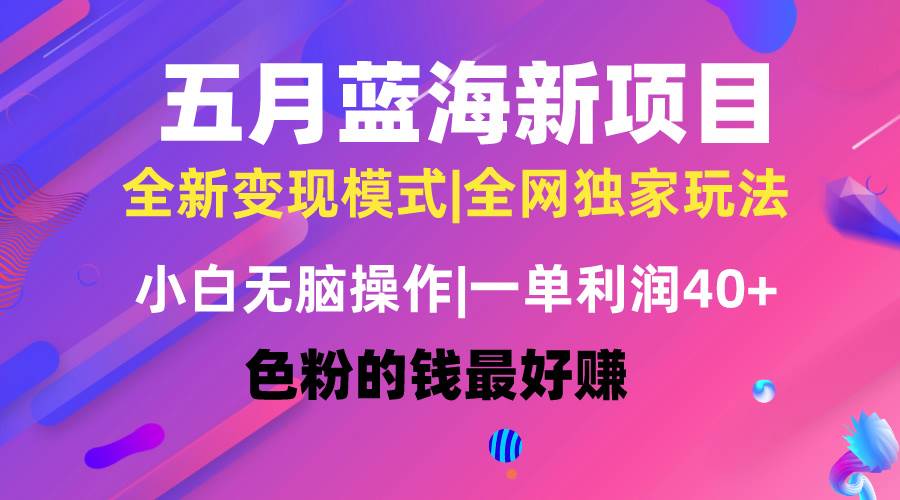 五月蓝海项目全新玩法，小白无脑操作，一天几分钟，矩阵操作，月入4万+-扬明网创