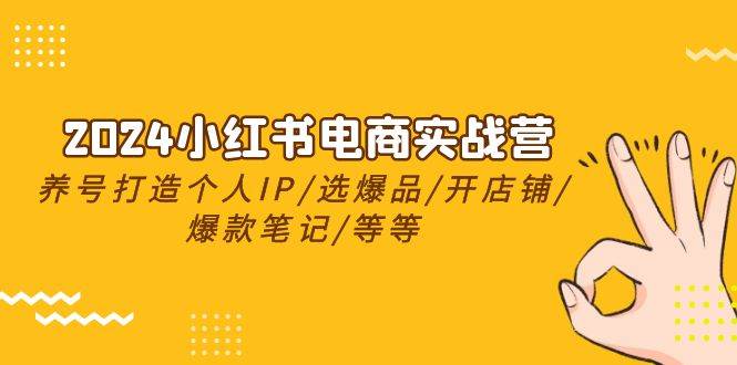 2024小红书电商实战营，养号打造IP/选爆品/开店铺/爆款笔记/等等（24节）-扬明网创