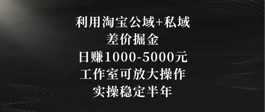 利用淘宝公域+私域差价掘金，日赚1000-5000元，工作室可放大操作，实操…-扬明网创