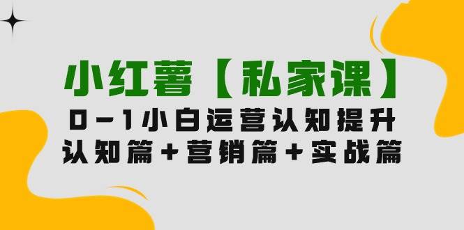 小红薯【私家课】0-1玩赚小红书内容营销，认知篇+营销篇+实战篇（11节课）-扬明网创