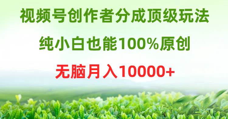 视频号创作者分成顶级玩法，纯小白也能100%原创，无脑月入10000+-扬明网创