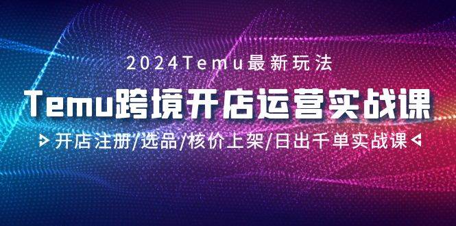 2024Temu跨境开店运营实战课，开店注册/选品/核价上架/日出千单实战课-扬明网创