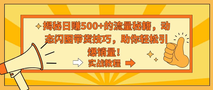 揭秘日赚500+的流量秘籍，动态闪图带货技巧，助你轻松引爆销量！-扬明网创