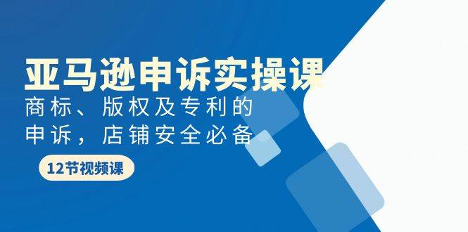 亚马逊-申诉实战课，商标、版权及专利的申诉，店铺安全必备-扬明网创