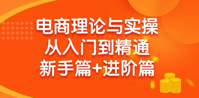 电商理论与实操从入门到精通 新手篇+进阶篇-扬明网创