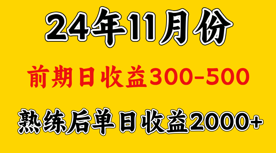 轻资产项目，前期日收益500左右，后期日收益1500-2000左右，多劳多得-扬明网创