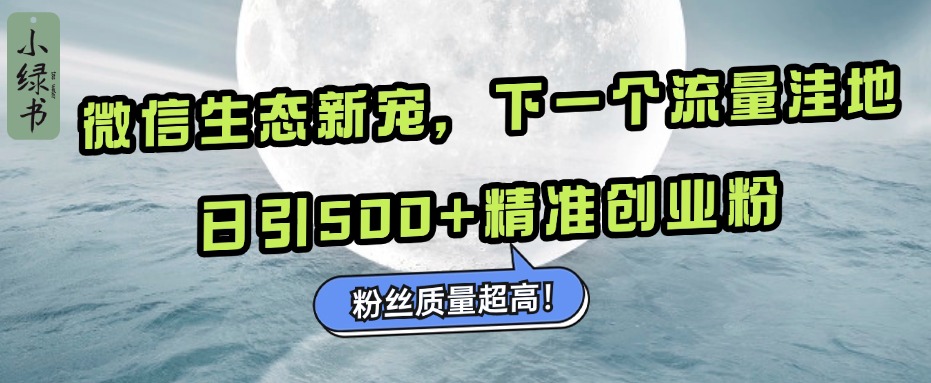 微信生态新宠小绿书：下一个流量洼地，粉丝质量超高，日引500+精准创业粉，-扬明网创