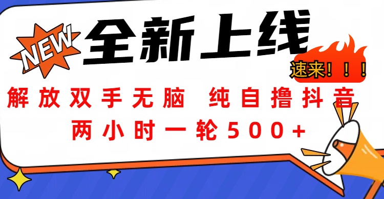 解放双手无脑 纯自撸抖音 两小时一轮500+-扬明网创