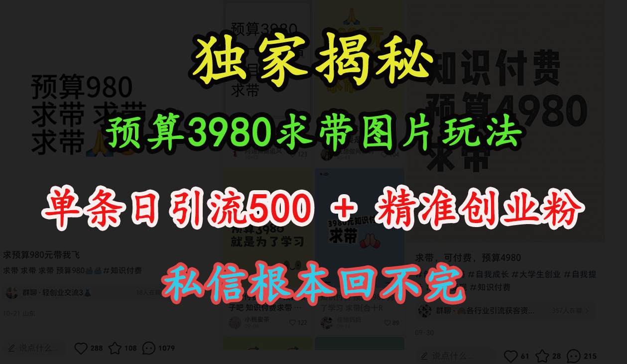 “小红书”预算3980求带 图片玩法，单条日引流500+精准创业粉，私信根本回不完-扬明网创