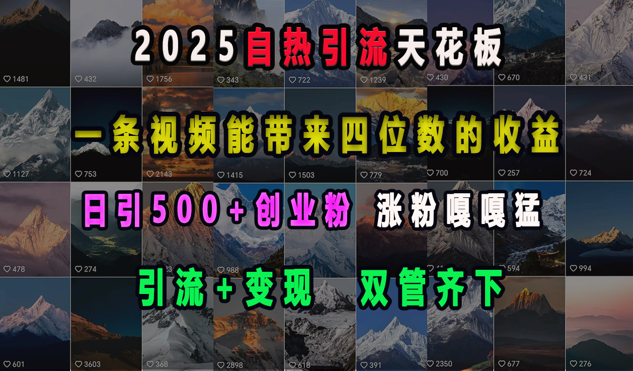 2025自热引流天花板，一条视频能带来四位数的收益，引流+变现双管齐下，日引500+创业粉，涨粉嘎嘎猛-扬明网创