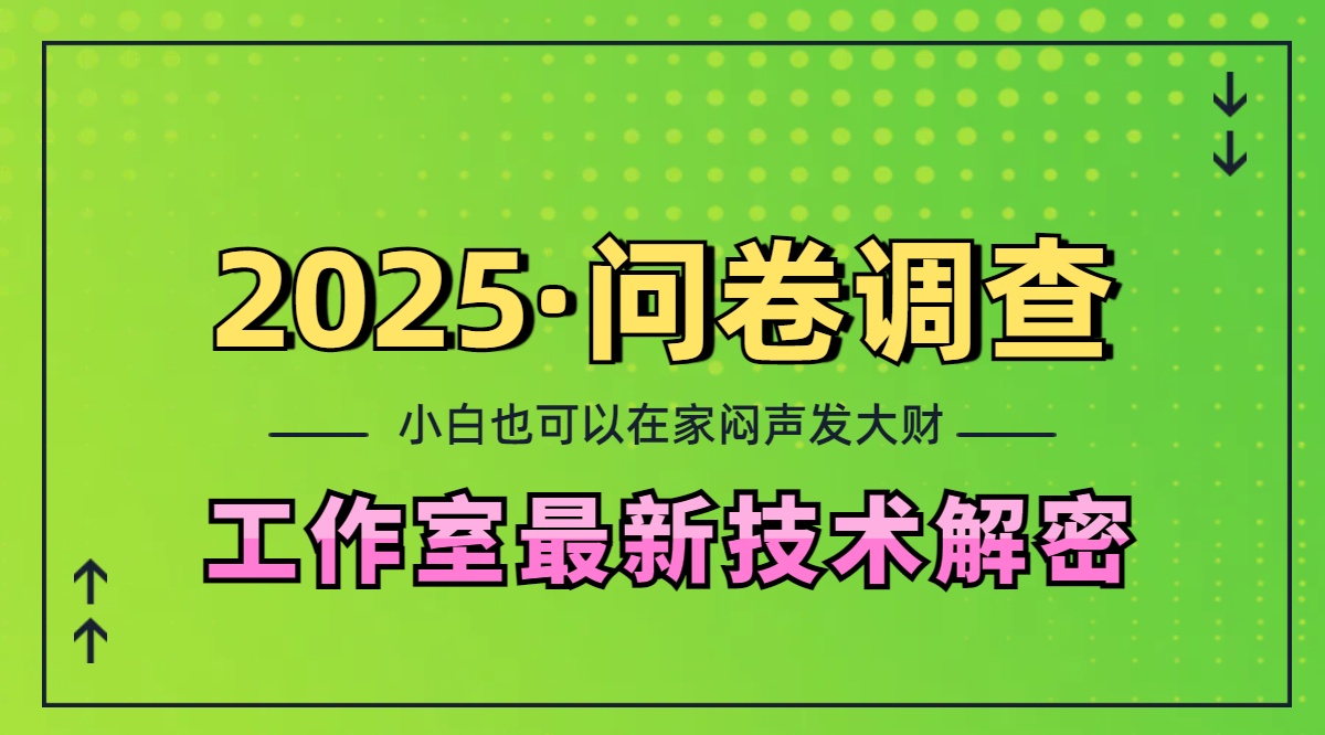 2025《问卷调查》最新工作室技术解密：一个人在家也可以闷声发大财，小白一天200+，可矩阵放大-扬明网创