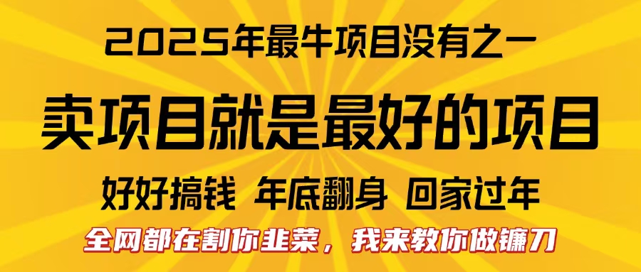 全网都在割你韭菜，我来教你做镰刀。卖项目就是最好的项目，2025年最牛互联网项目-扬明网创