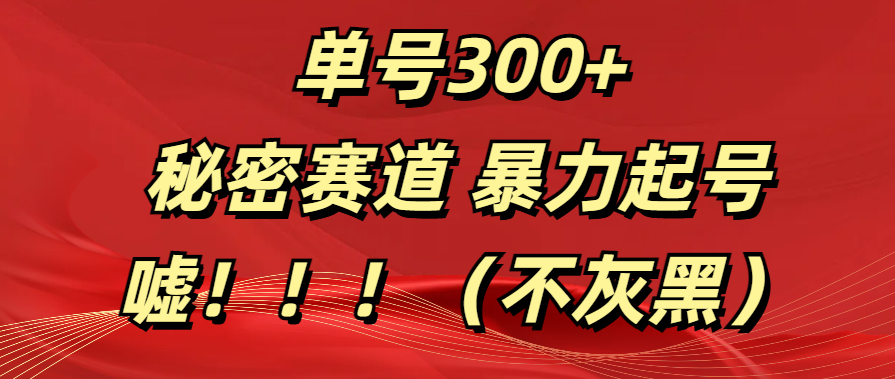 单号300+  秘密赛道 暴力起号  （不灰黑）-扬明网创