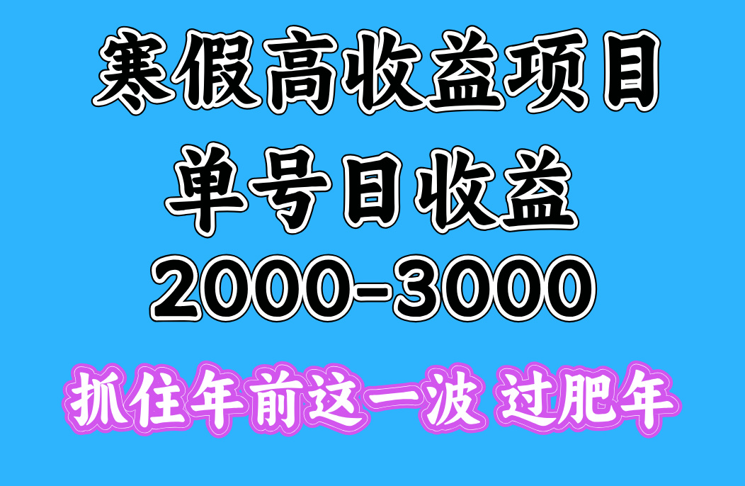 寒假期间一天收益2000-3000+，抓住年前这一波-扬明网创