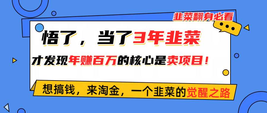 悟了,当了3年韭菜,才发现网赚圈年赚100万的核心是卖项目,含泪分享!-扬明网创
