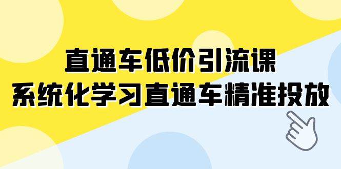 直通车-低价引流课,系统化学习直通车精准投放(14节课)-扬明网创