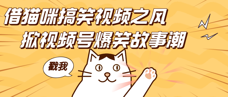 借猫咪搞笑视频之风,掀视频号爆笑故事潮,轻松日赚四位数,开启无门槛赚钱新体验!-扬明网创