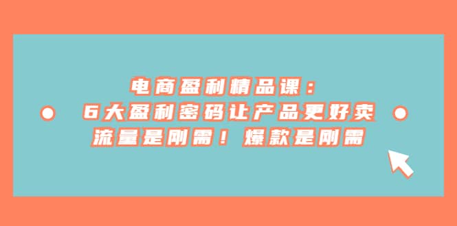 电商 盈利精品课:6大盈利 密码让产品更好卖,流量是刚需!爆款是刚需-扬明网创