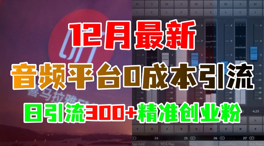 12月最新:音频平台0成本引流,日引300+精准创业粉-扬明网创