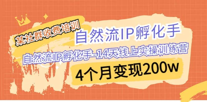 某社群收费培训：自然流IP 孵化手-14天线上实操训练营 4个月变现200w-扬明网创