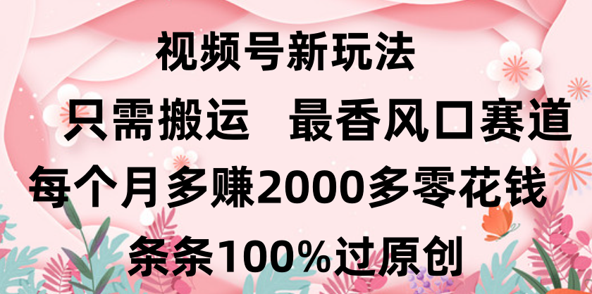 日入2000+，条条100%过原创，视频号最香风口赛道，小白轻松上手-扬明网创