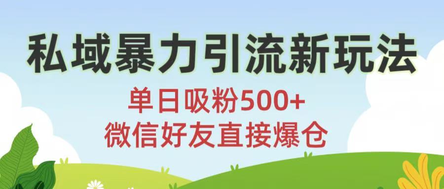 私域暴力引流新玩法!单日吸粉500+,微信好友直接爆仓-扬明网创