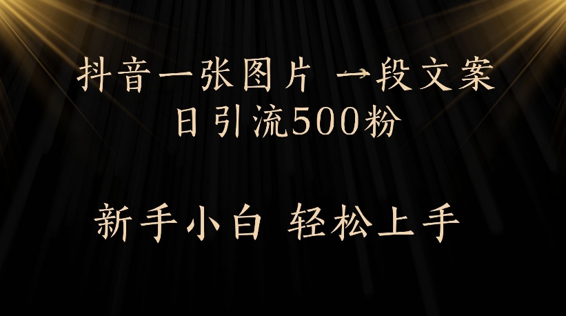抖音一张图片,一段文案日引流500粉,新手小白 轻松上手-扬明网创