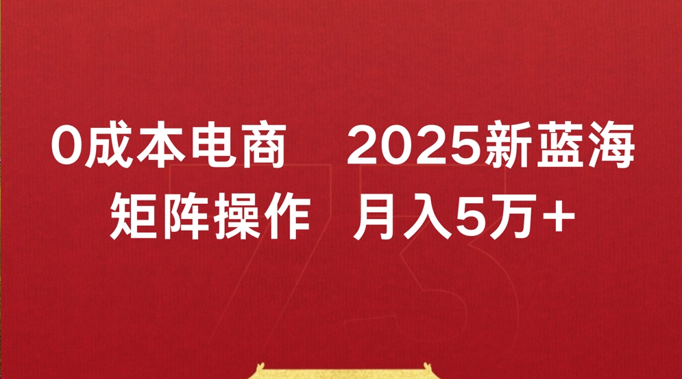 0成本电商2025新蓝海矩阵操作 月入5万+-扬明网创
