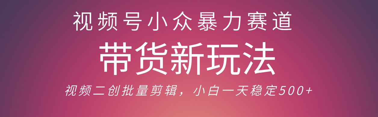 视频号小众暴力赛道,最新带货玩法 小白也能轻松日入500+ 保姆及教程-扬明网创