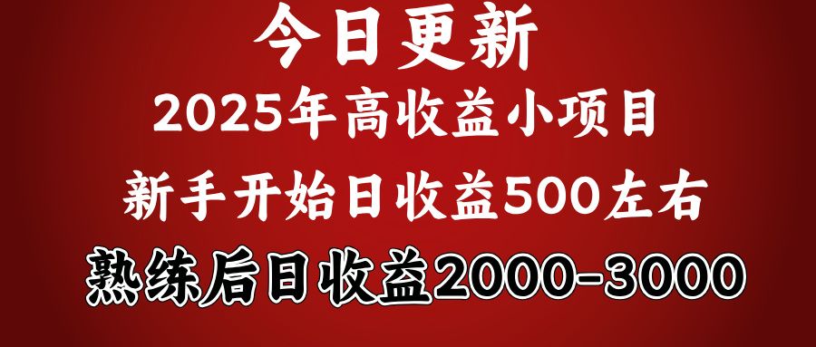 2025开年好项目，新手日收益500+ 熟练掌握后，日收益平均2000多-扬明网创