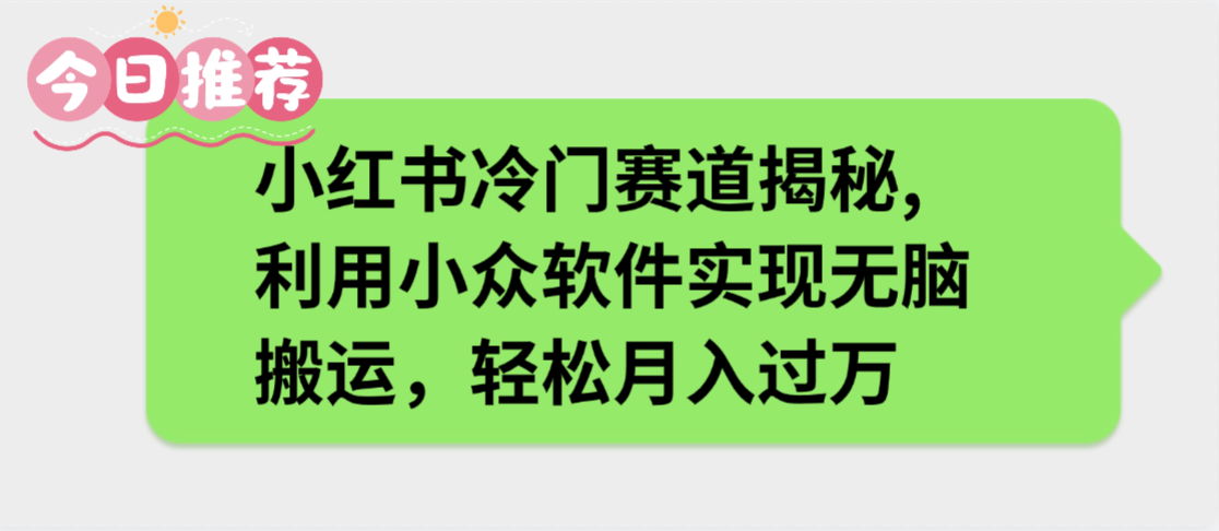 小红书冷门赛道揭秘,利用小众软件实现无脑搬运，轻松月入过万-扬明网创