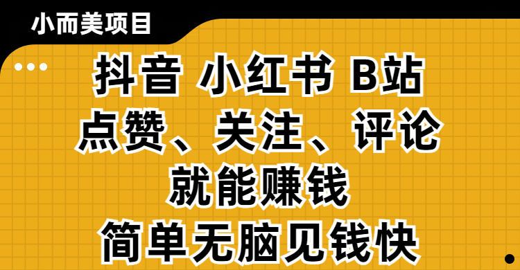小而美的项目，抖音、小红书、B站视频点赞、关注、评论就能赚钱，简单无脑立见收益！妥妥的零撸项目-扬明网创