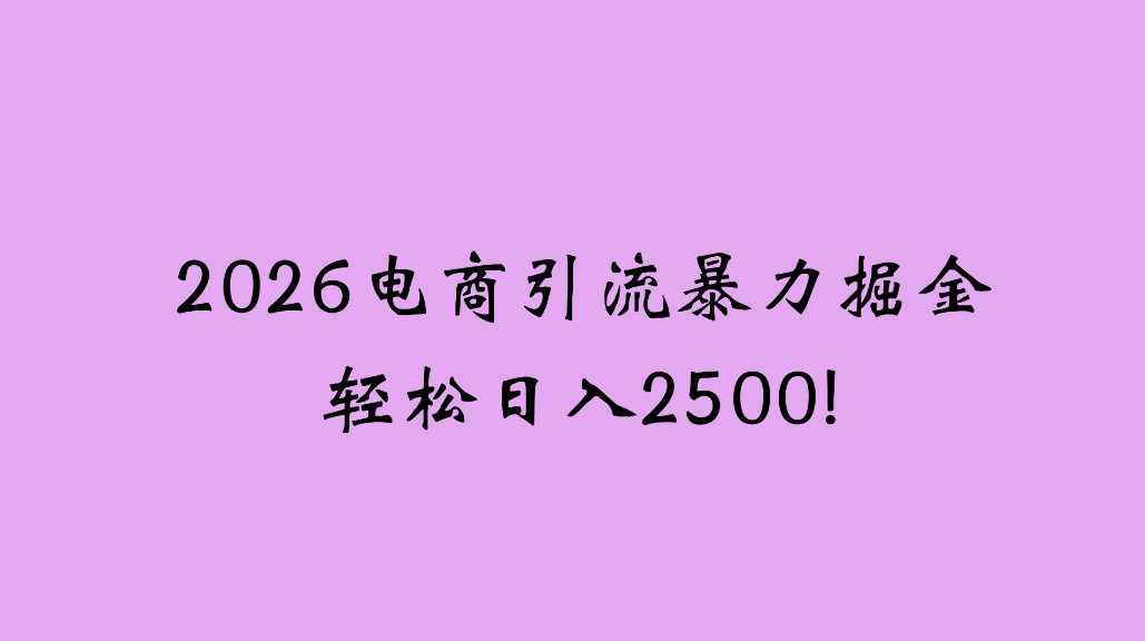 2026电商引流新玩法,日引200,日可入2500+-扬明网创