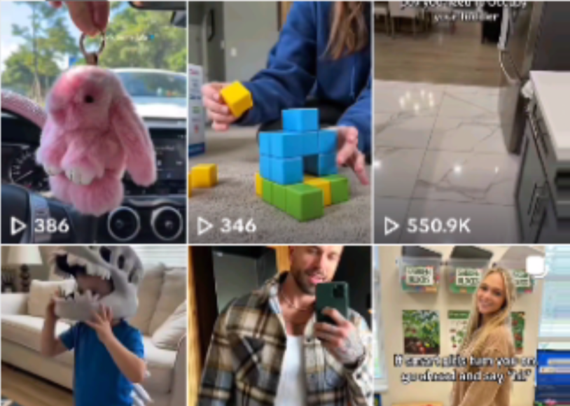 万字实操指南:Seedance联手TikTok带货,月入六位数可复制的全攻略-扬明网创