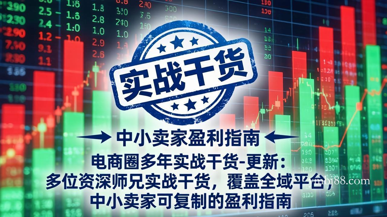 电商圈多年实战干货-更新5月10：多位资深师兄实战干货/覆盖全域平台，中小卖家可复制的盈利指南-扬明网创