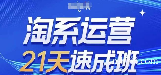 淘系运营21天速成班,0基础轻松搞定淘系运营,不做假把式,快速复制落地(更新26年4月)-扬明网创