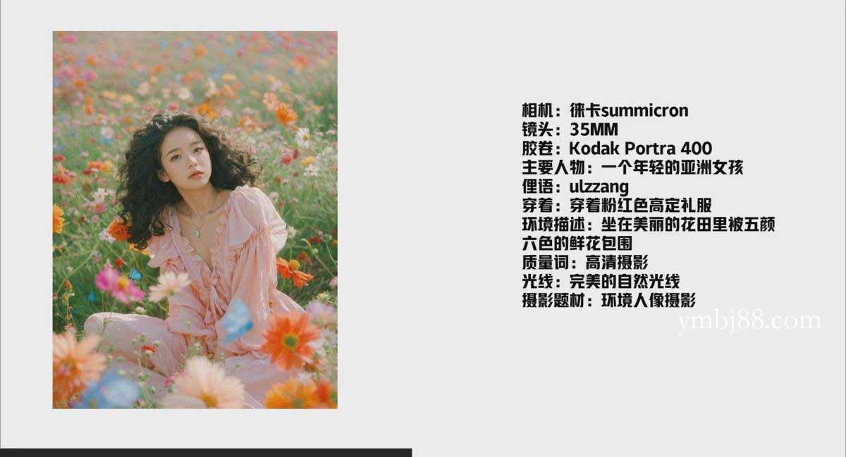 图片[2]-AI摄影商业视觉Midjourney+Stable Diffusion训练营，教程+软件+模型-扬明网创