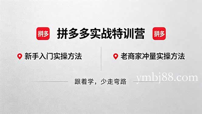 拼多多实战特训营(更新5月3-扬明网创