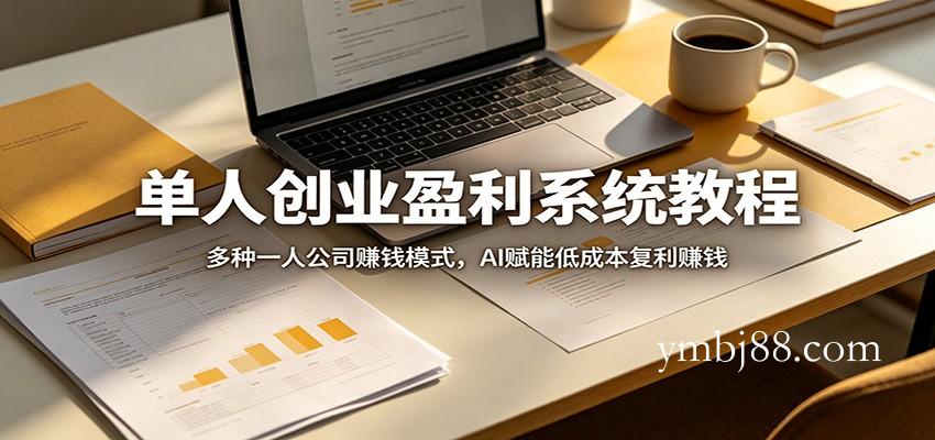 单人创业盈利系统教程：多种一人公司赚钱模式，AI赋能低成本复利赚钱-扬明网创