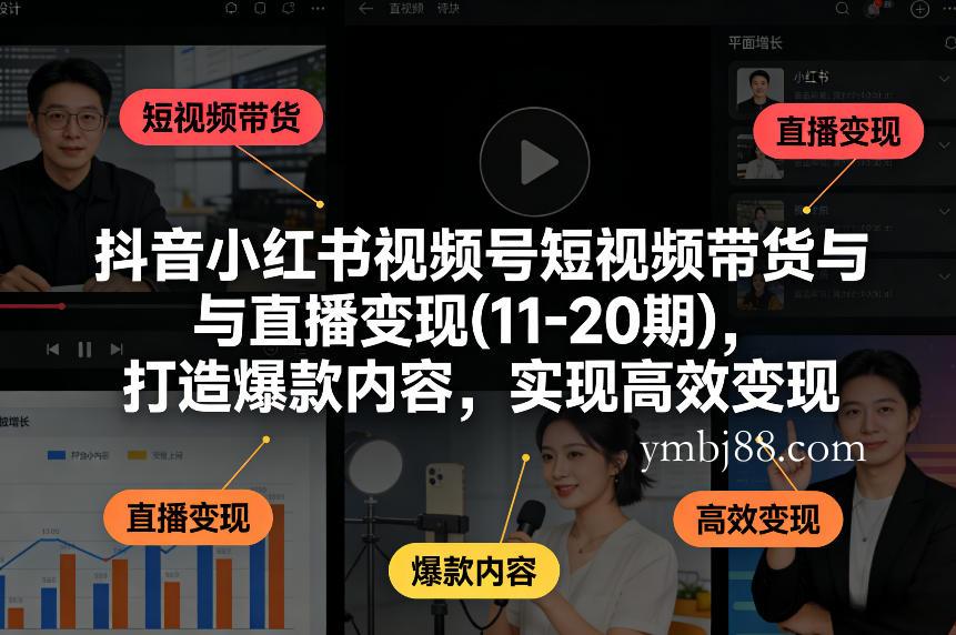 抖音小红书视频号短视频带货与直播变现(10-21期)，打造爆款内容，实现高效变现(更新05月08日)-扬明网创