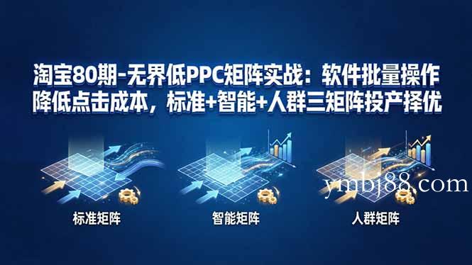 淘宝80期-无界低PPC矩阵实战：软件批量操作降低点击成本，标准+智能+人群三矩阵投产择优-扬明网创