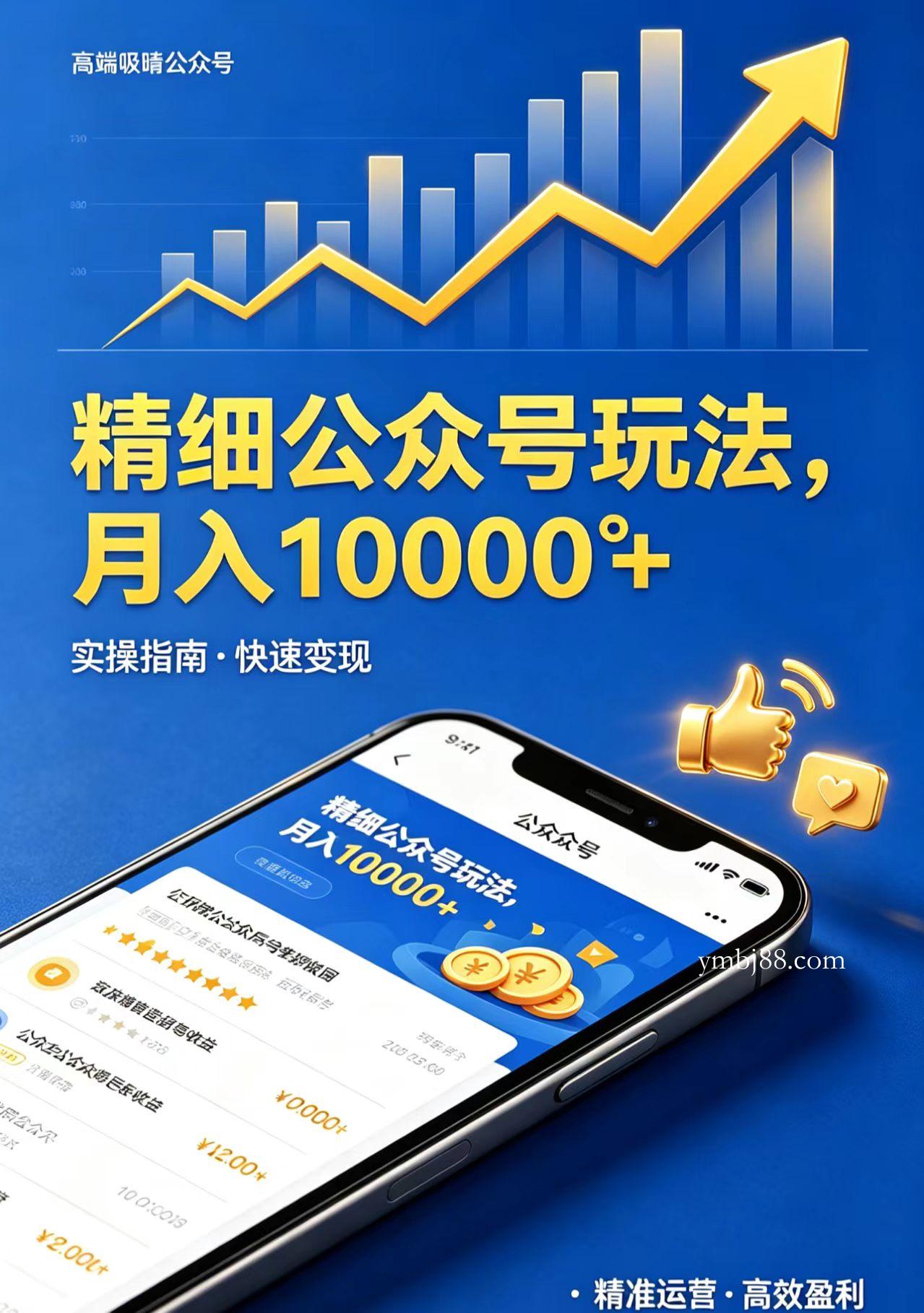 精细公众号玩法，月入10000+，实操指南，快速变现-扬明网创