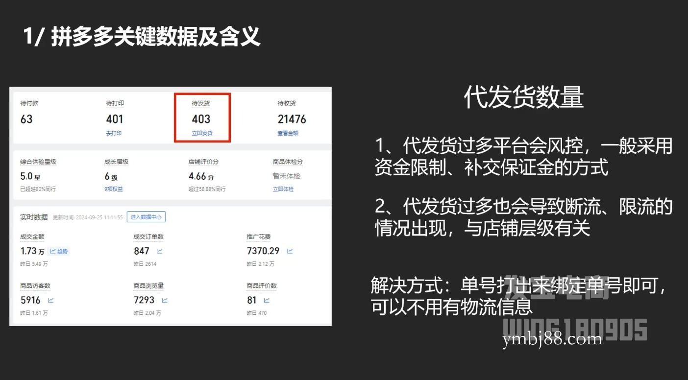 纪主任·拼多多年费会员(更新11月)-扬明网创