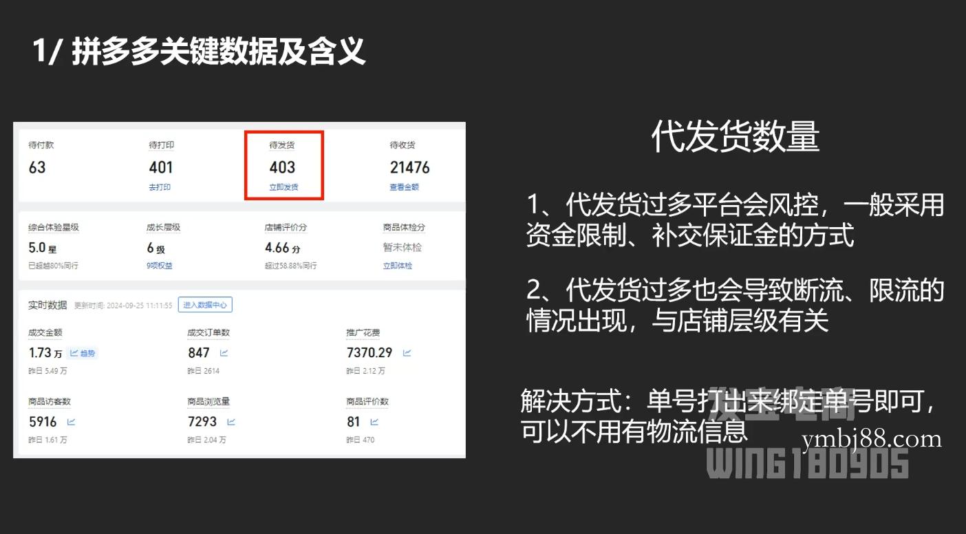 纪主任·拼多多年费会员(更新9月)-扬明网创
