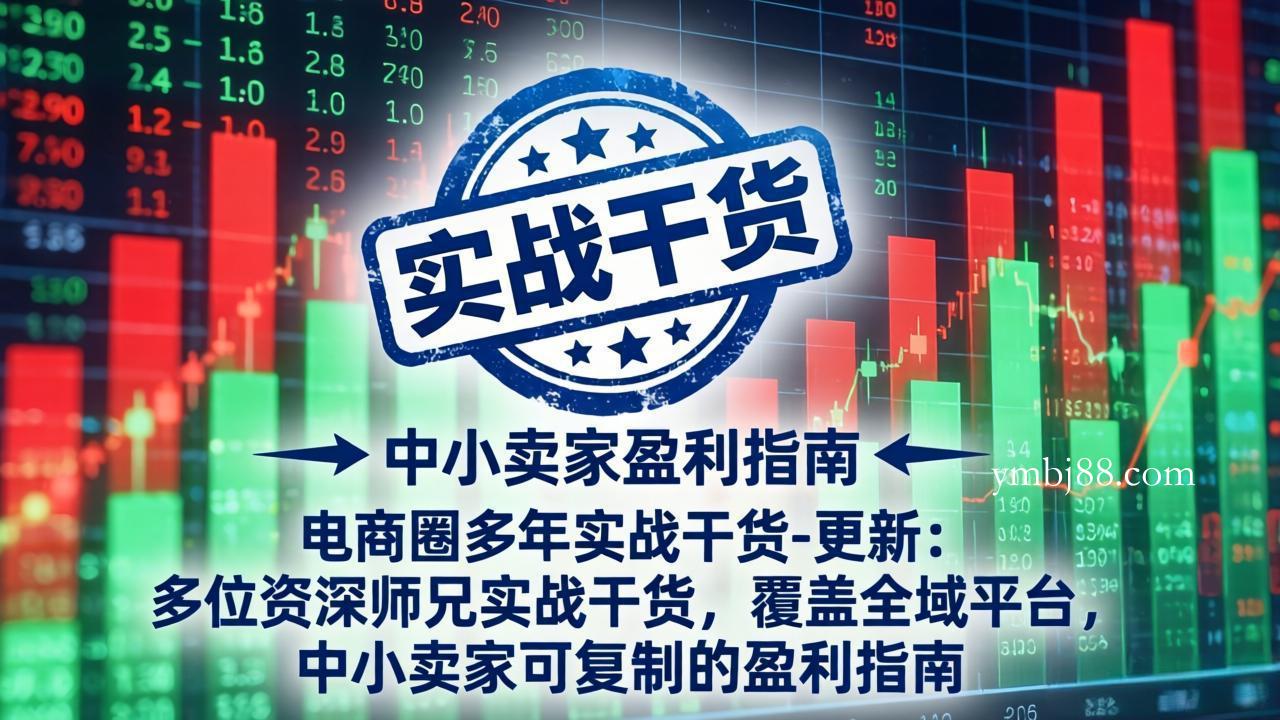 电商圈多年实战干货-更新4月27:多位资深师兄实战干货/覆盖全域平台,中小卖家可复制的盈利指南-扬明网创